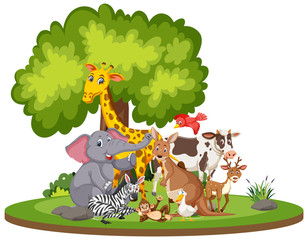 Obraz na płótnie Canvas Scene with cute animals in the park