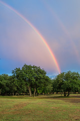 Beautiful landscape with green trees and a rainbow, Dobrogea, Romania