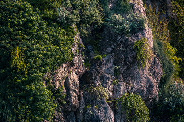 Rocky cliffs shore covered with green trees and cactuses