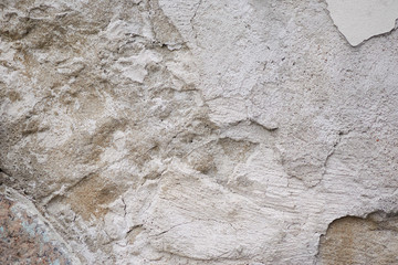The structure of the old concrete wall in the cracks.