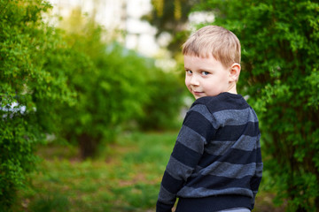 Little boy in a green park looks back.