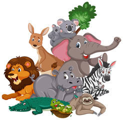 Different types of wild animals on white background