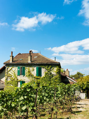 Chalet at Lavaux Vineyard Terraces hiking trail, Lavaux-Oron district, Switzerland