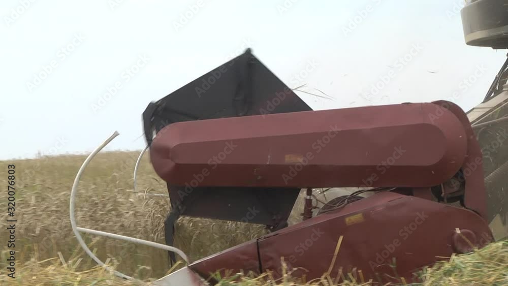 Wall mural mower from a combine harvester in action on a field. farm implements. combine harvester with reaper 