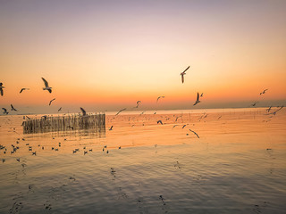 Sunset sky and seagulls At the estuary.