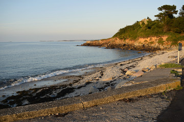 Algues varechs et goémons sur cette plage de Saint Pol de Léon dans le Finistère en Bretagne
