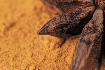 Tumeric yellow spice with star anise for curry