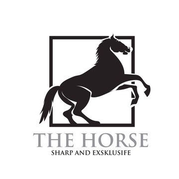 horse logo designs icon modern simple