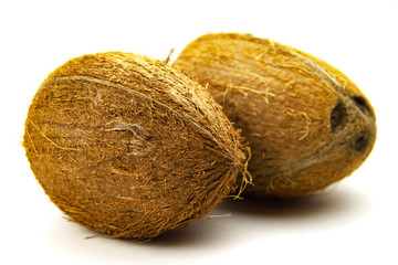 Fresh whole coconuts isolated on white background close up view. Selective focus. Copy space.