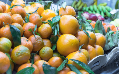 fresh mandarins on the counter at the market place