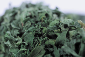 Dry green parsley seasoning herb