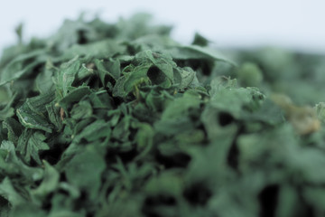 Dry green parsley seasoning herb