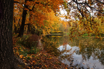 Photo taken in Moscow in October in the Park Pokrovskoe Streshnevo. It's still warm this time of year, but the leaves are already Golden. All these colors are beautifully reflected in the water.