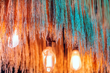 Green and gold color dried ear of rice with antique edison style light bulbs hanging to decorate in the coffee shop. Selective focus.