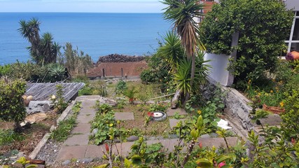 Madère, jardin de Jardim do Mar