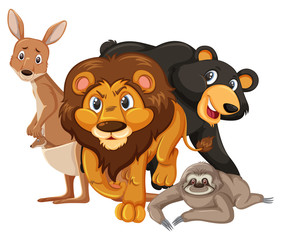 Different types of wild animals on white background