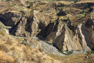 valley of Colca river with agricultural terraces. Famous touristic site in Arequipa, Peruvian andes.