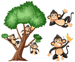 Big tree and silly monkeys on white background