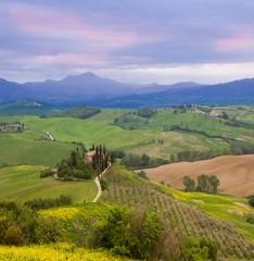 Fototapeta premium green rolling hills in Val d'Orcia in Tuscany