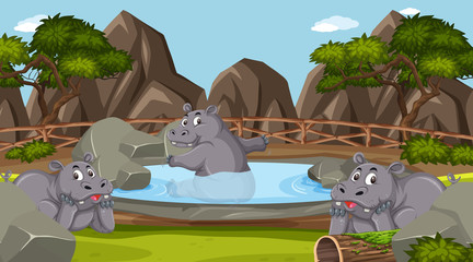 Scene with wild animals in the zoo at day time