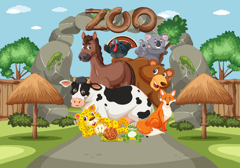 Scene with wild animals in the zoo at day time