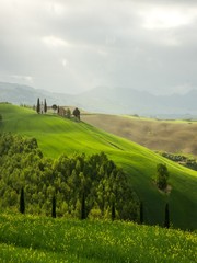 green rolling hills in Val d'Orcia in Tuscany