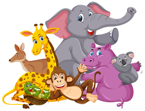 Many wild animals smiling on white background