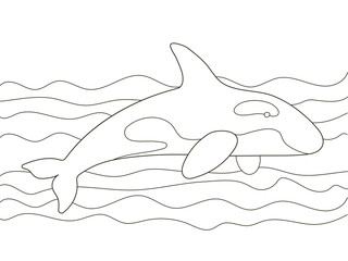 Obraz premium Vector beautiful coloring book for adults and children with a killer whale among the waves. A series of coloring books with marine animals. Minimalism and simple lines, silhouette of fish.