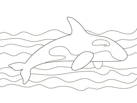Vector beautiful coloring book for adults and children with a killer whale among the waves. A series of coloring books with marine animals. Minimalism and simple lines, silhouette of fish.