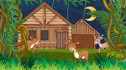 Scene with wooden house in the forest at night