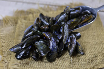 moules crues sur une toile de jute