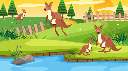 Scene with kangaroo jumping in the park