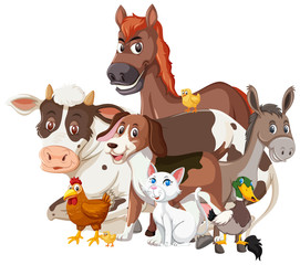 Different types of farm animals on white background