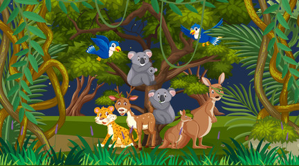 Scene with many wild animals in the park