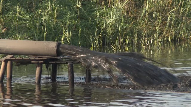 Contaminated water from canalization channels pollutes nature. Environmental problem of environmental pollution.  Environmental problem. Black plastic pipe in a pond. 