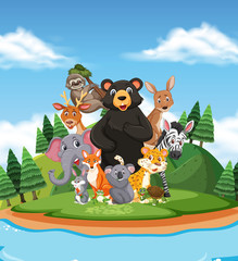 Scene with many wild animals in the park