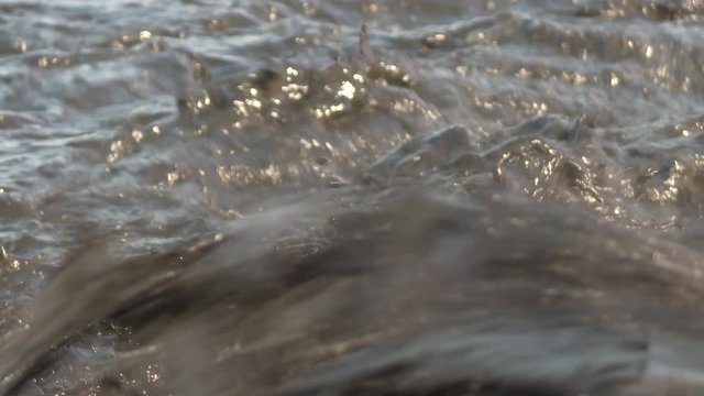 Contaminated water from canalization channels pollutes nature. Black plastic pipe in a pond. Close up of water gushing from the sewer to the coop in rural canals which flow stops recording.