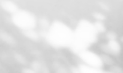 Abstract Shadows, blurred background of gray leaves and natural trees that reflect concrete walls, fallen branches on white wall surfaces for blurred backgrounds and black and white wallpapers.