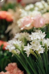 Flower shop concept. Different varieties fresh spring flowers in refrigerator room for flowers. Bouquets on shelf, florist business