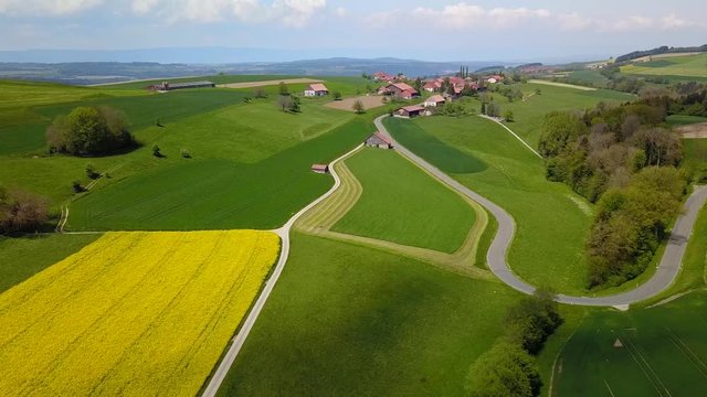 drone view above yellow rapeseed fields under the sun near the village of Brenles in the canton of Vaud in French-speaking Switzerland in the district of Broye-Vully near the city of Lucens