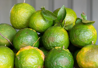 Green orange fruits in Sri Lanka