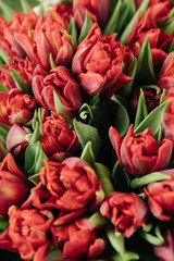 Fototapeta premium bouquet of tulips in front of spring scene