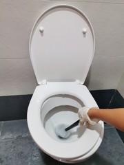 Closeup of hand using white brush to clean toilet.