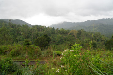 Mountain region of Sri Lanka, Ella, green landscape.