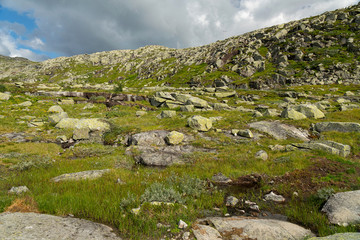 Fototapeta na wymiar Mountain rocky tundra landscape panoramic view, Norway. Way to Trolltunga rock.