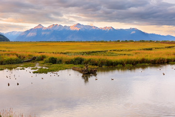 Beautiful sunrise at Potter Marsh Wildlife Viewing Boardwalk, Anchorage, Alaska. Potter Marsh is located at the southern end of the Anchorage Coastal Wildlife Refuge.