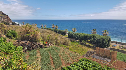 Madère, potager de Jardim do Mar