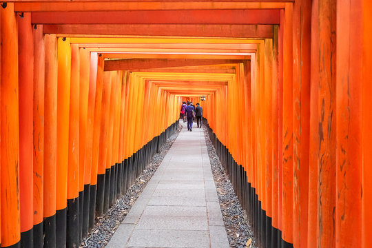 Fushimi Inari-taisha Shrine, over 5000 vibrant orange torii gates. it one of the most popular shrines in Japan. landmark and popular for tourists attractions in Kyoto. Kansai, Japan