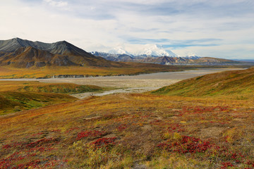 The Denali Mount Peak covered by snow at early morning at Denali National Park. The peak s 20,310-ft.-high Denali (fka Mount McKinley), North America’s tallest peak. Photo shows tundra in foreground