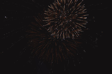 Colorful fireworks on the black sky background.